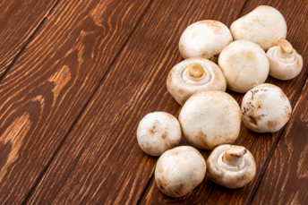 mushroom cultivation